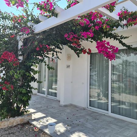 Villaggio Poseidone Beach Resort - Hotel 托雷圣乔万尼乌 外观 照片